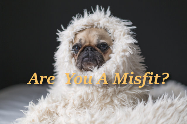 Are You A Misfit?