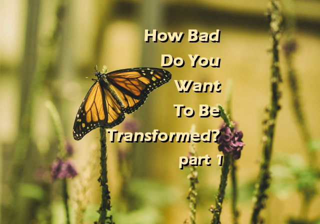 How Bad Do You Want To Be Transformed? part 1