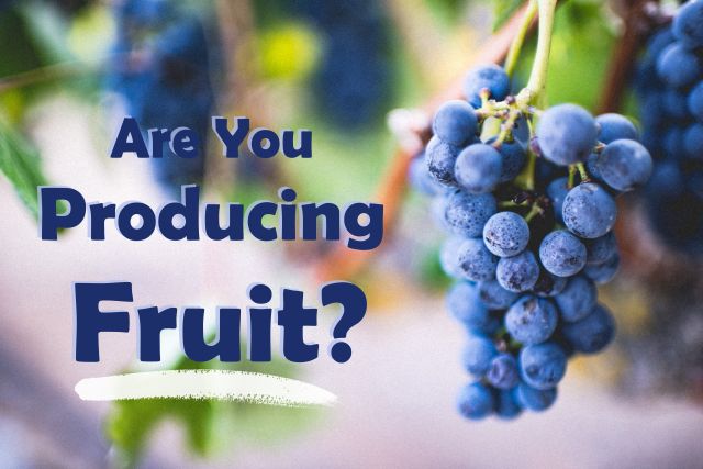 Are You Producing Fruit?