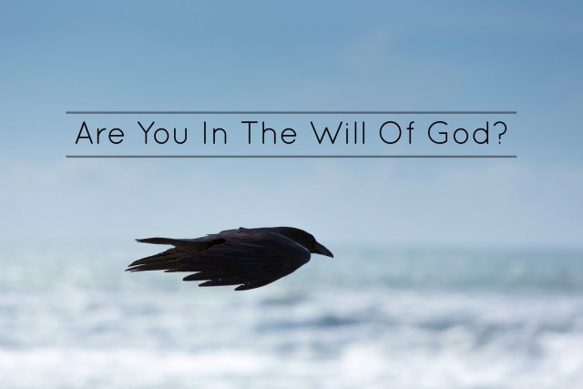 Are You In The Will Of God?