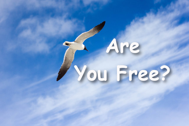 Are You Free?