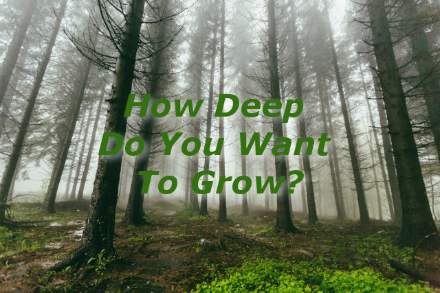 How Deep Do You Want To Grow?