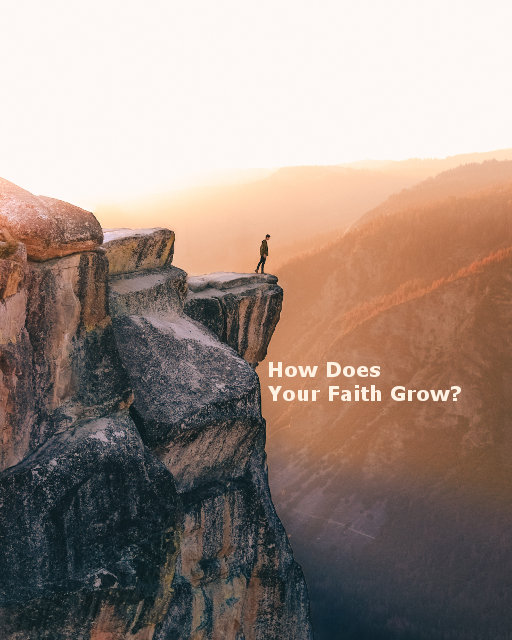 How Does Your Faith Grow?